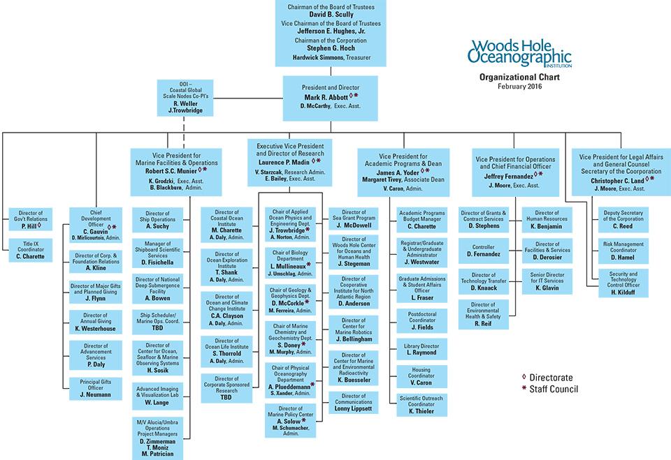 41 Free Organization Chart Templates In Word Excel Pdf