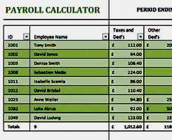 payroll sample template 17.641