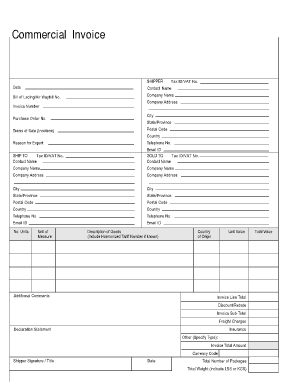 Commercial Invoice sample 15.461