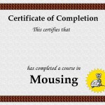 42+ Free Certificate of Completion Templates
