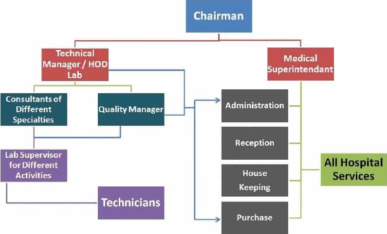 Hospital Laboratory Organizational Chart