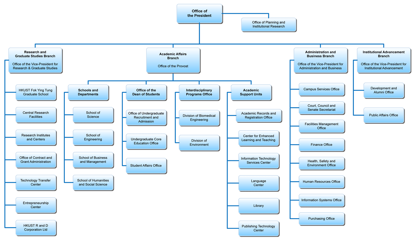 Organization Chart Template Word