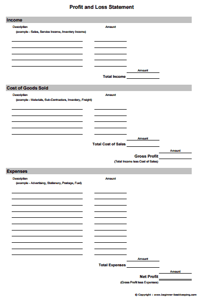 Profit and Loss Statement Template 5941