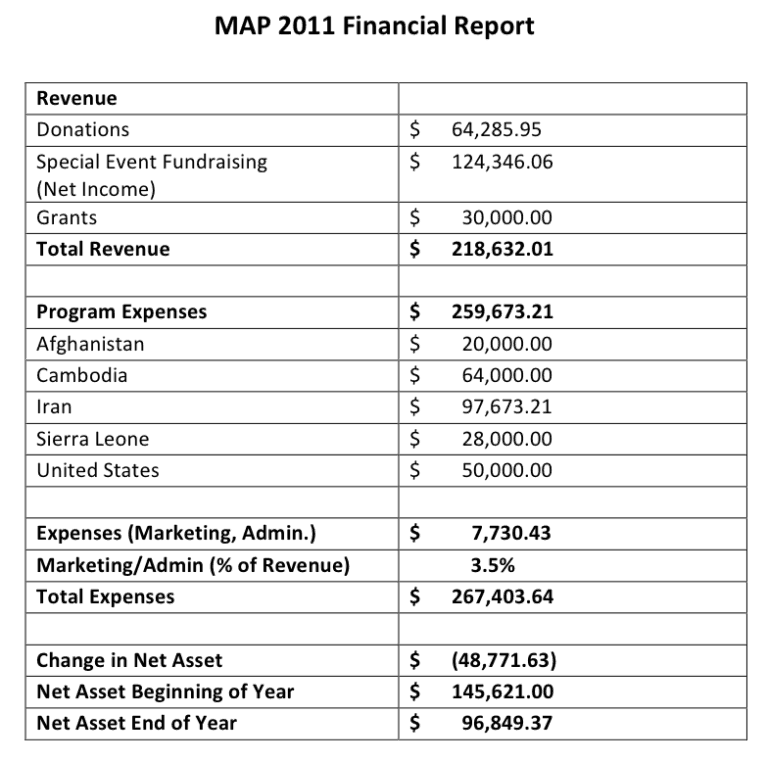 financial report assignment example