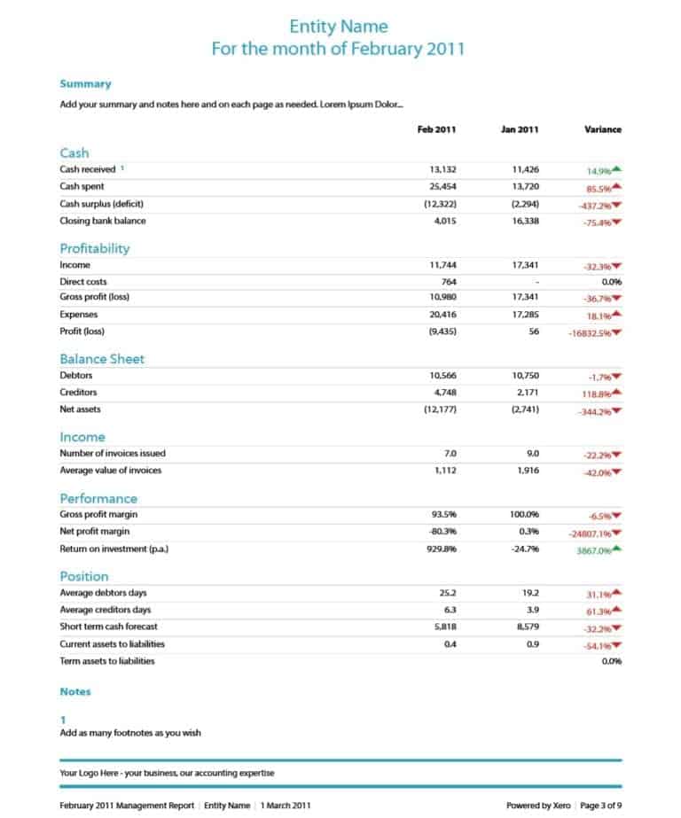 financial report assignment example