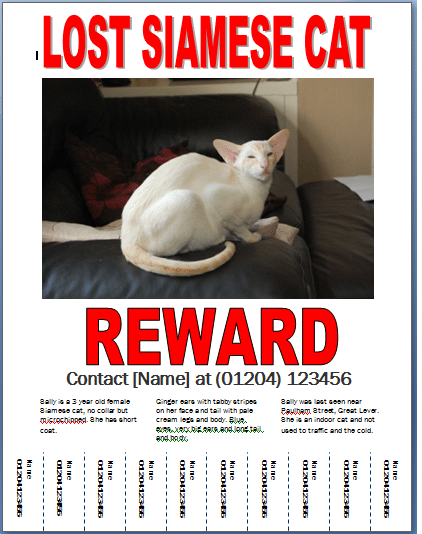 Missing Cat Poster Template Word