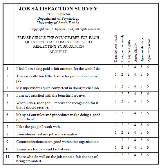 Satisfaction Survey Template 3641