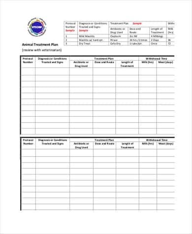 Treatment Plan Template Doc from www.templatesdoc.com