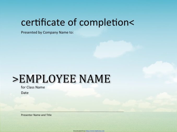 21+ Free 42+ Free Certificate of Completion Templates - Word Excel Formats