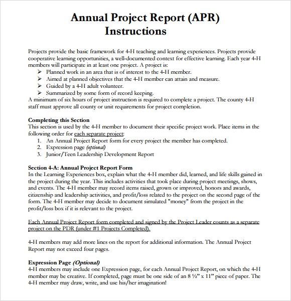 writing a project report template